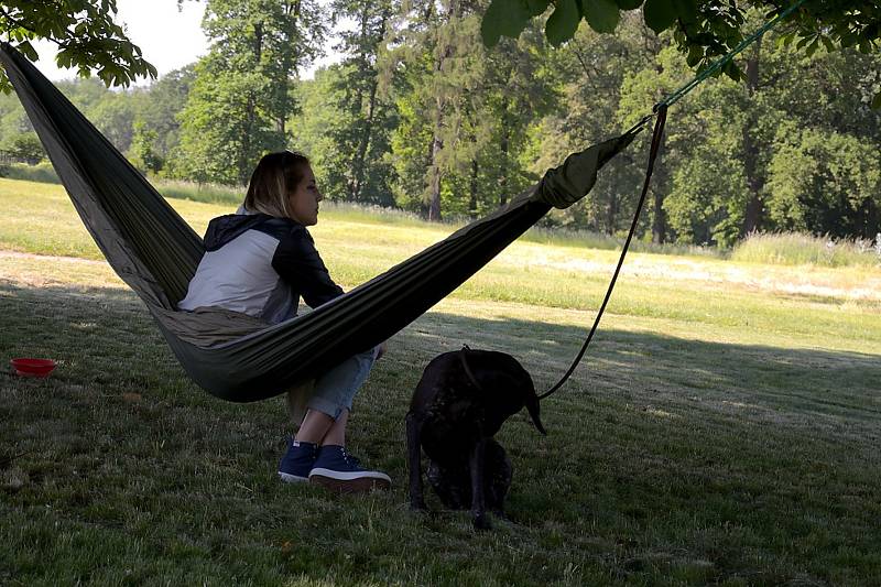 Tradiční oblastní výstava psů všech plemen se konala v zámeckém parku na Kačině.