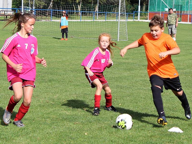 Fotbalový mistrovský turnaj starších přípravek v Suchdole: FK Čáslav D - TJ Sokol Družba Suchdol 10:3.