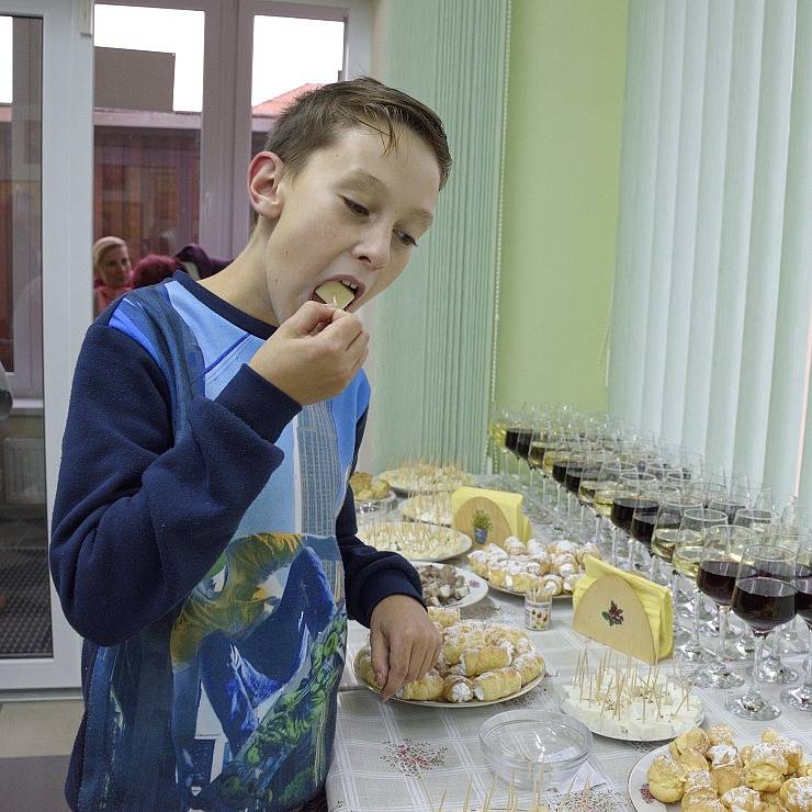 V Černínách zahájili výstavu Šikulové z regionu.