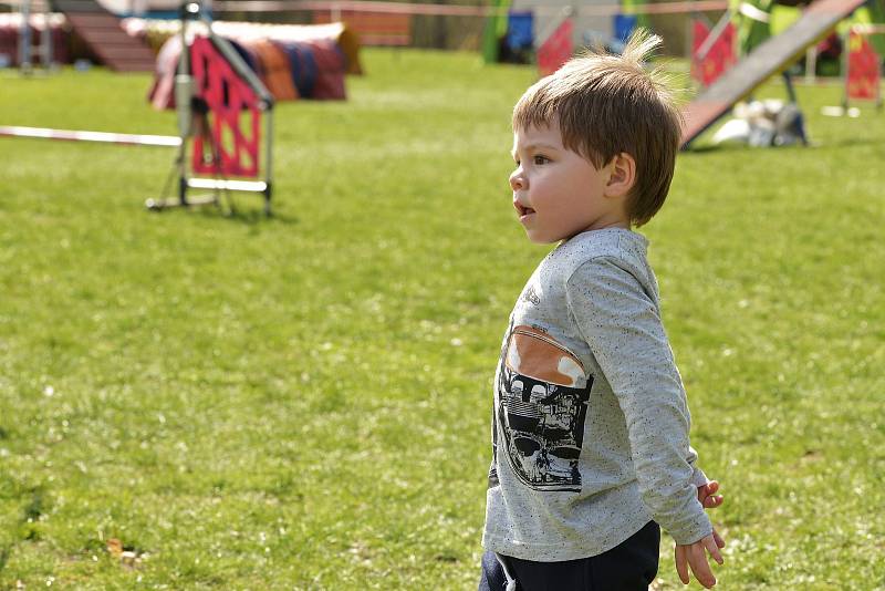 Agility závody 'O kutnohorský groš' na cvičáku v Kutné Hoře.