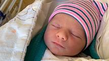 Pavel Milota se narodil 24. září 2022 v 8.47 hodin v čáslavské porodnici. Narodil se s porodní váhou 2710 gramů a mírou 47 centimetrů . Doma v Kutné Hoře ho přivítali maminka Petra a tatínek Pavel.