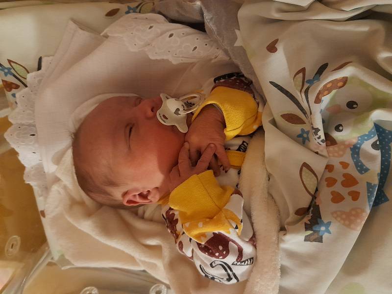 Jindřich Hulej se poprvé na svět podíval 11. října 2021 v 18.25 hodin v čáslavské porodnici. Vážil 3810 gramů a měřila 51 centimetrů. Doma v Čáslavi ho přivítali maminka Marika a tatínek Milan.