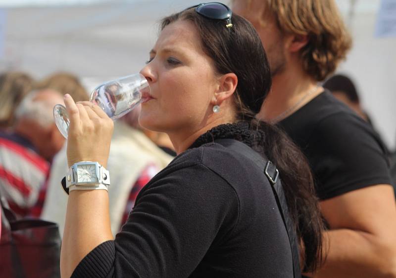 Vinobraní na Kačině přilákalo i letos davy návštěvníků