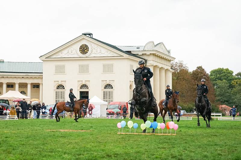 Ze 14. ročníku akce Koně na Kačině.