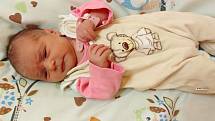 Dorota Klimová se narodila 12. ledna 2021 ve 3. 57 hodin v čáslavské porodnici. Vážila 3100 gramů a měřila 49 centimetrů. Doma na Žakách se z ní těší maminka Klára a tatínek Radim.