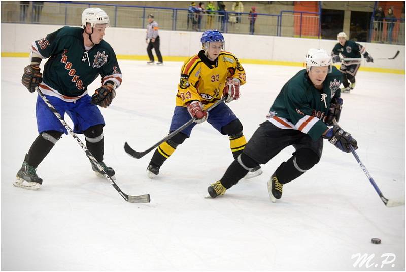 Krajská soutěž: Sršni Kutná Hora - HC Žabonosy 4:1, 16. února 2014.