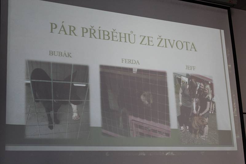 Díky projektu poznali studenti lépe město Čáslav i jeho široké okolí.