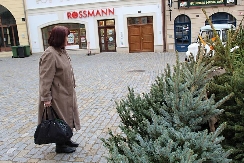 Prodej vánočních stromů na Kutnohorsku 2017.