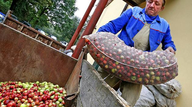 Nadúroda jablek u ovocnářů úsměvy rozhodně nevyvolává