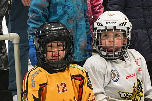 Hokejový klub SK Sršni Kutná Hora přivítal na svém ledě děti od 4 do 8 let.