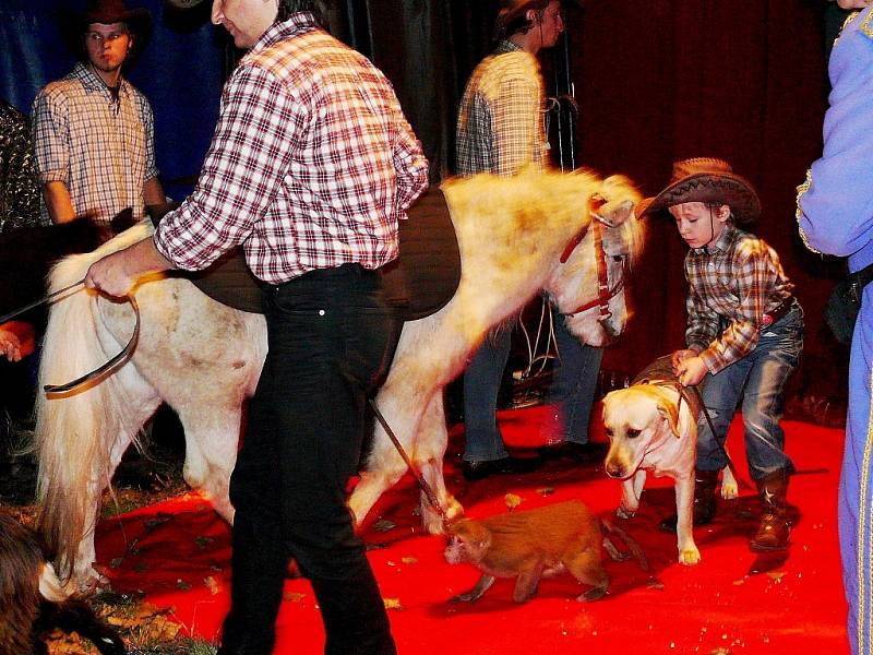 Takhle vypadá představení cirkusu Jo-Joo ze zákulisí