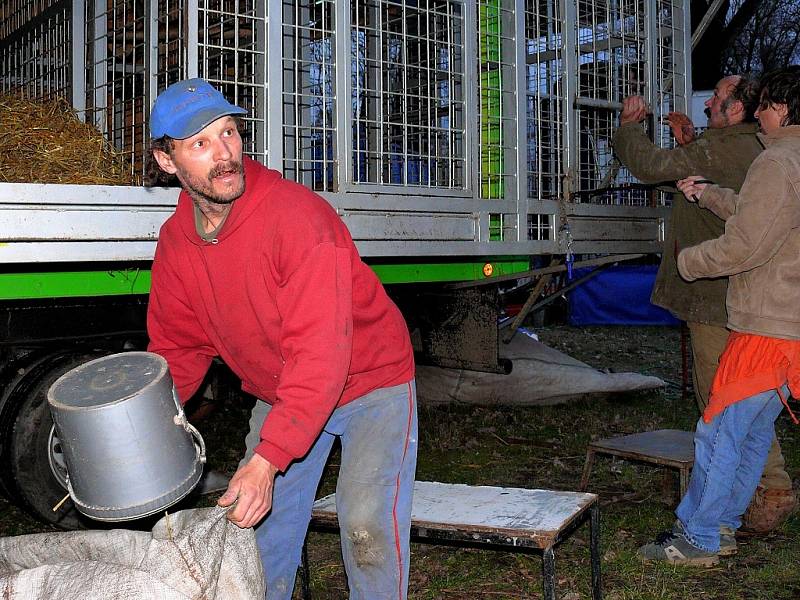 Takhle vypadá představení cirkusu Jo-Joo ze zákulisí