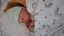 Vojtěch Vrba se narodil 5. srpna 2021 ve 13.54 hodin v čáslavské porodnici. Vážil 3340 gramů a měřil 50 centimetrů. Doma v Čáslavi se z něj těší maminka Michaela a tatínek Tomáš.