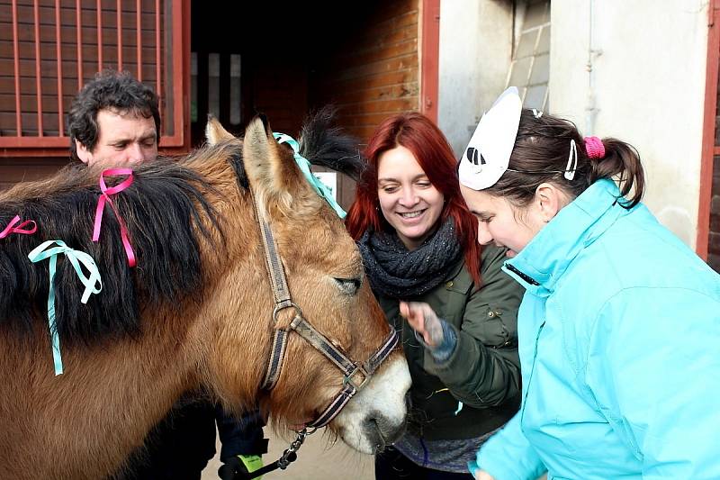 Z masopustního reje na statku sdružení Dítě a kůň v Miskovicích.