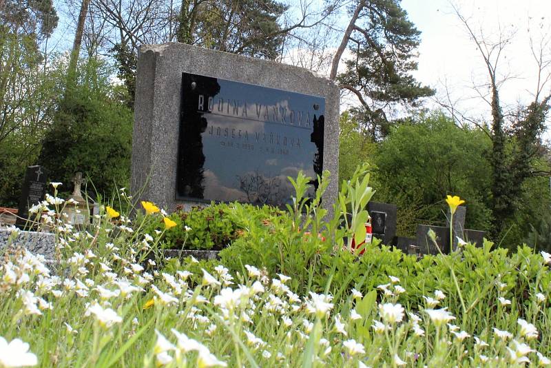 Jaro na hřbitově v Záboří nad Labem.