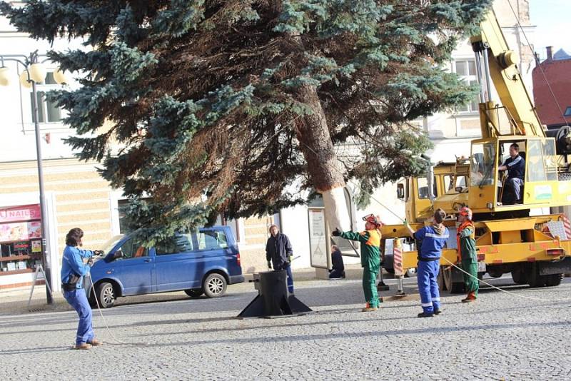 Vánoční strom přivezli na Palackého náměstí v Kutné Hoře ve čtvrtek 23. listopadu.