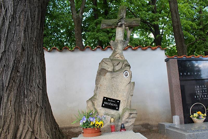 Jaro na hřbitově v Sedlci.