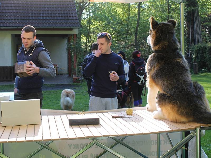 Dogtrekkingový závod Okolo Kutné Hory, 5.ročník