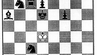 Kouzlo šachového diagramu č. 537 a 538 - Kutnohorský deník