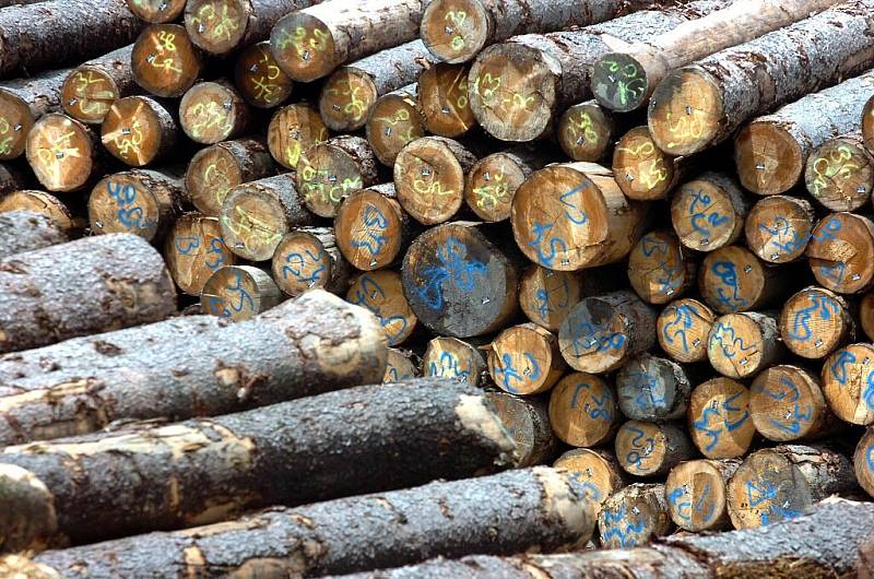 Prohlídka nového dřevozpracujícího podniku v Čáslavi