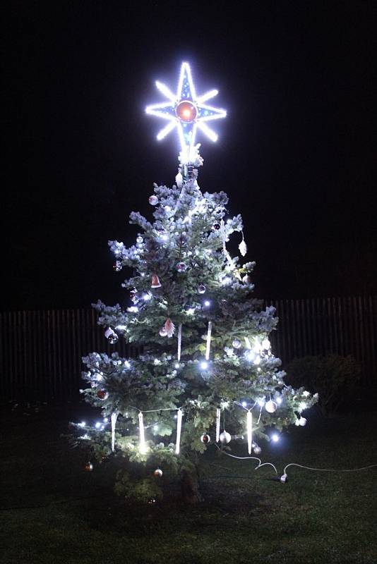Rozsvícení vánočního stromečku v Šebestěnicích.