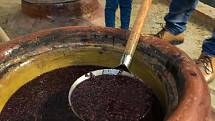 Z otevření hliněných amfor ve Vinných sklepech v Kutné Hoře, kde více než osm měsíců zrálo víno i se slupkami .