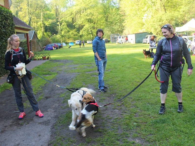 Dogtrekkingový závod Okolo Kutné Hory, 5.ročník