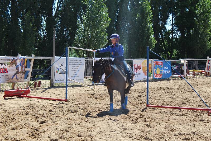 Sportovní den s koňmi na ranči Dalu v Kozohlodech