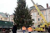 Vánoční strom na Palackého náměstí v Kutné Hoře.