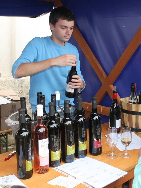 Vinobraní na Kačině 13. září 2014.