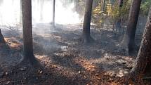 S požárem dvou hektarů lesa bojovalo přes padesát hasičů.