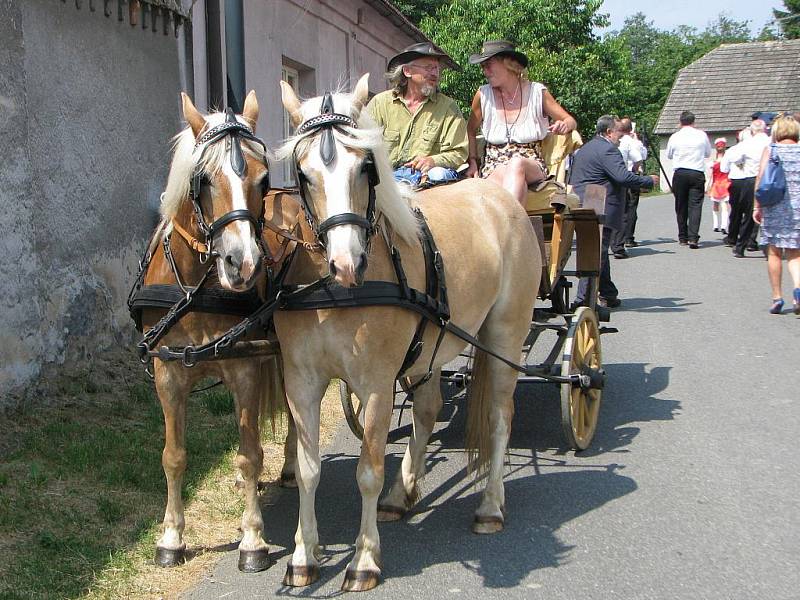 Pernerovy Bratčice 2010.