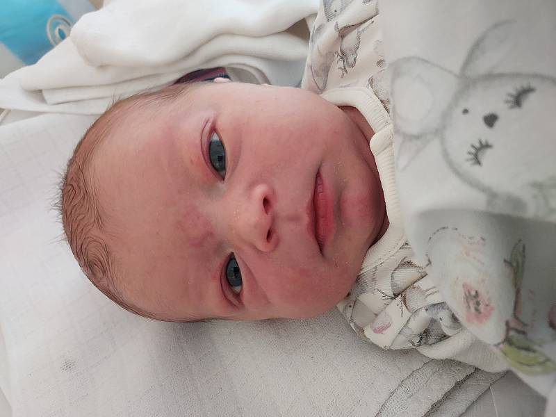 Matyáš Mašek se narodil 7. února 2022 v 15.22 hodin v čáslavské porodnici. Vážil 3150 gramů a měřil 49 centimetrů. Domů do Kutné Hory si ho odvezli maminka Vendula a tatínek Matouš.