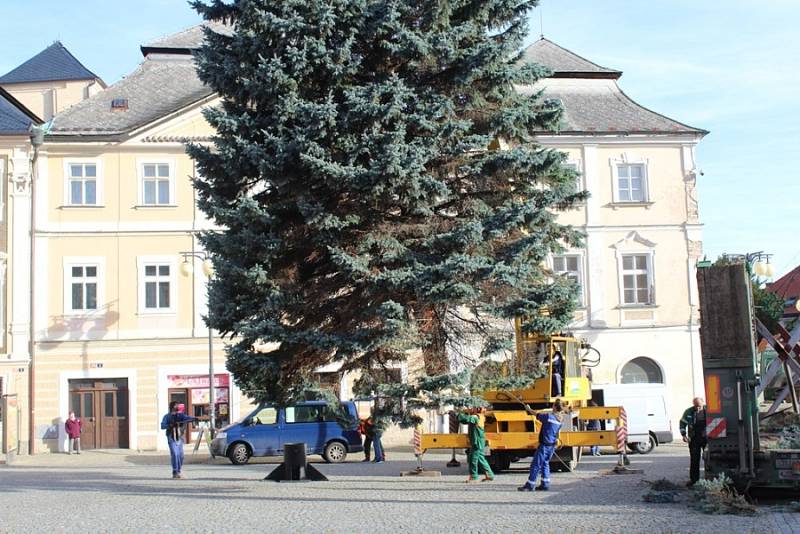 Vánoční strom přivezli na Palackého náměstí v Kutné Hoře ve čtvrtek 23. listopadu.