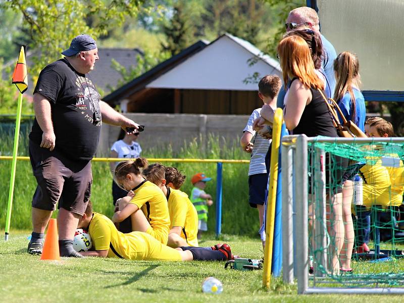 Fotbalový okresní přebor starších žáků: SK 1933 ČUS Nové Dvory - FK Čáslav dívky 5:4 (1:3).