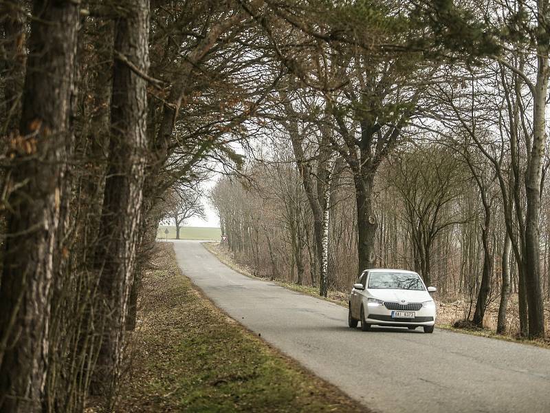 Kudy by měla vést vysokorychlostní trať? Okolím lesa u Rozkoše.