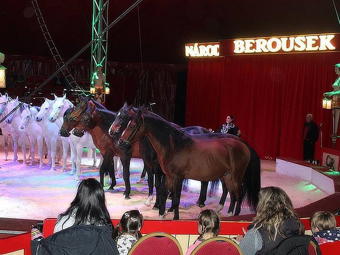 Národní cirkus Berousek ve čtvrtek odehraje první představení.