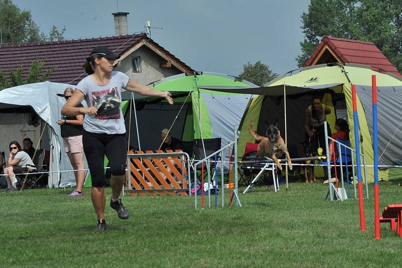 V areálu kynologického klubu se konala soutěž v agility. 