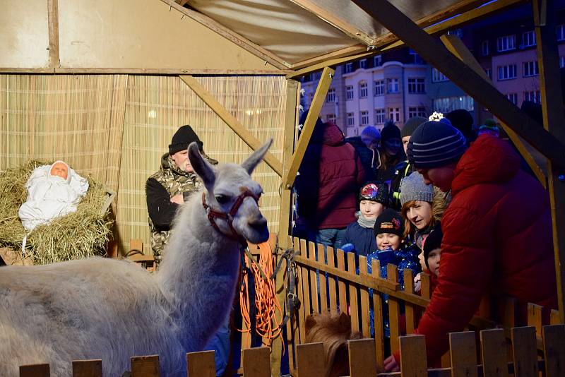 Z rozsvícení vánočního stromu na náměstí Jana Žižky z Trocnova v Čáslavi.