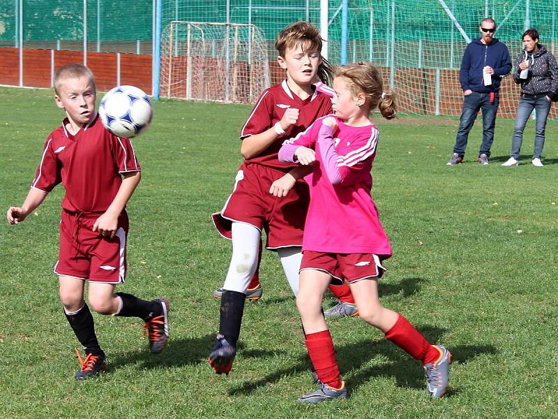 Fotbalový mistrovský turnaj starších přípravek v Suchdole: FK Čáslav D - TJ Sokol Močovice 9:5.