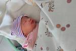 Nikol Vaňková se narodila 27. března 2022 v 1.27 hodin v Čáslavi. Pyšnila se porodní váhou 3390 gramů a mírou 50 centimetrů . Domů do Čáslavi si ji odvezli maminka Martina, tatínek Jindřich a pětiletý bráška Jindříšek.