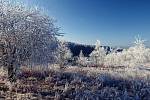 Zimní příroda zachycena objektivem Martina Suka.