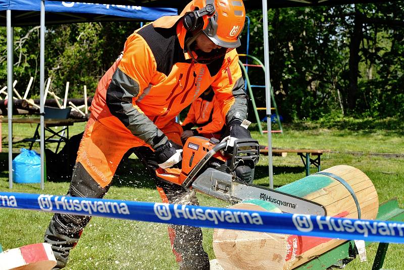 Soutěžilo se v disciplínách výměna řetězu na čas, kombinovaný řez, řez na podložce a finálové disciplíně odvětvování.