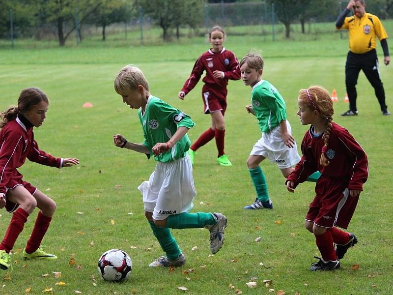 Mistrovský turnaj mladších přípravek v Chotusicích: TJ Sokol Malín - FK Čáslav C 8:4.