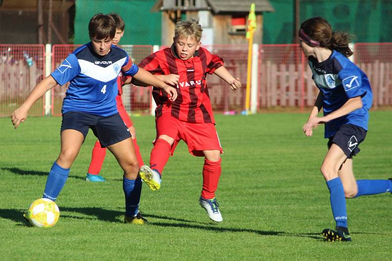 Fotbalový okresní přebor mladších žáků: SK Malešov - FK Čáslav dívky 2:7 (0:3).