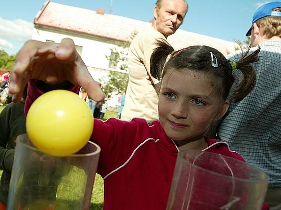 Den s Deníkem na Václavském náměstí v Uhlířských Janovicích.