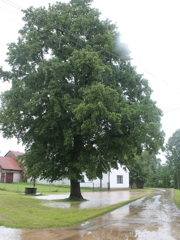 Prudké deště se na Kutnohorsku podepsaly 28. 5. 2014