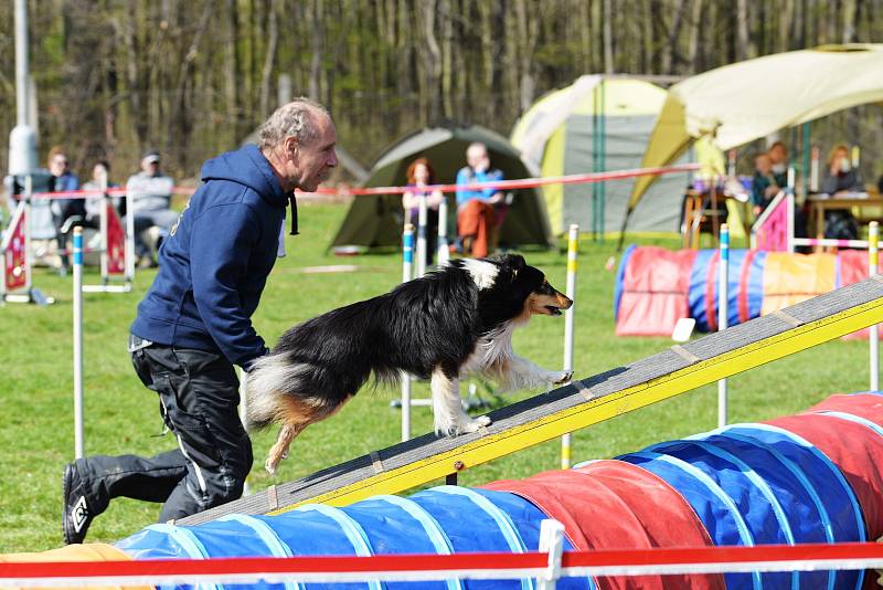 Agility závody 'O kutnohorský groš' na cvičáku v Kutné Hoře.