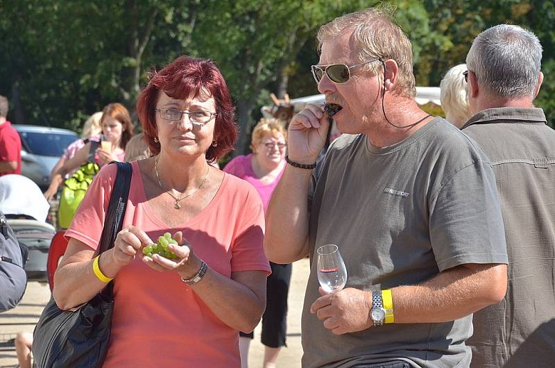 Druhý ročník vinobraní na zámek Kačina přilákal tisíce lidí