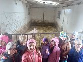 Děti z Mateřské školy U Skřítků v Malíně vyrazily za hospodářskými zvířaty.